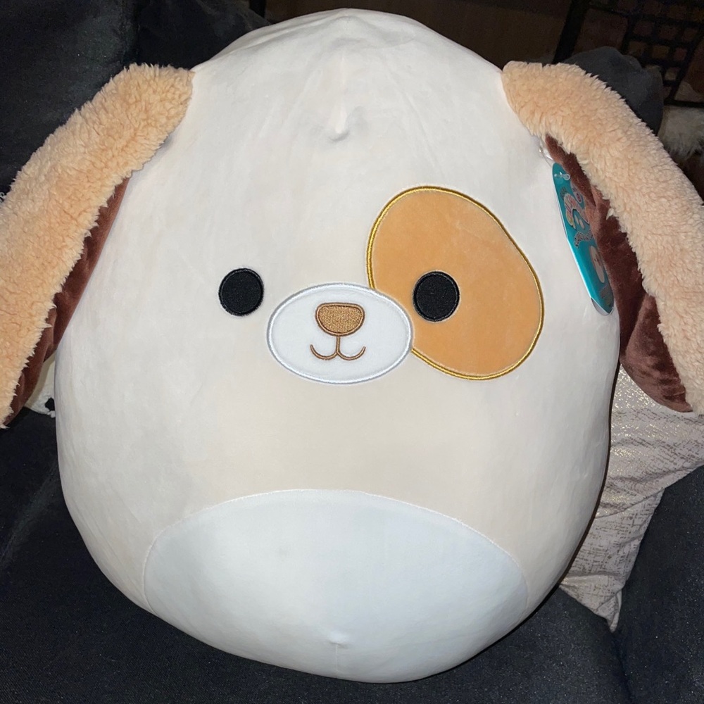 Harrison the Dog Squishmallow NWT